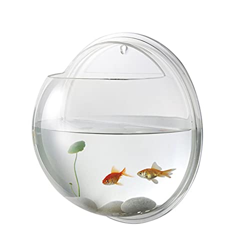 19,5 cm Durchmesser Kreative Wandmontage Acryl Fish Bowl Hanging Aquarium Fish Tank Transparent Home Ornament Aquarium Dekoration von DAPERCI