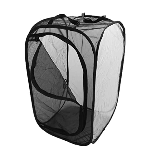 DAPERCI homozy Faltbarer tragbarer Lebensraumkäfig for Schmetterlinge, M Aquarium Dekoration DAPERCI homozy Faltbarer tragbarer Lebensraumkäfig for Schmetterlinge, M Aquarium Dekoration von DAPERCI