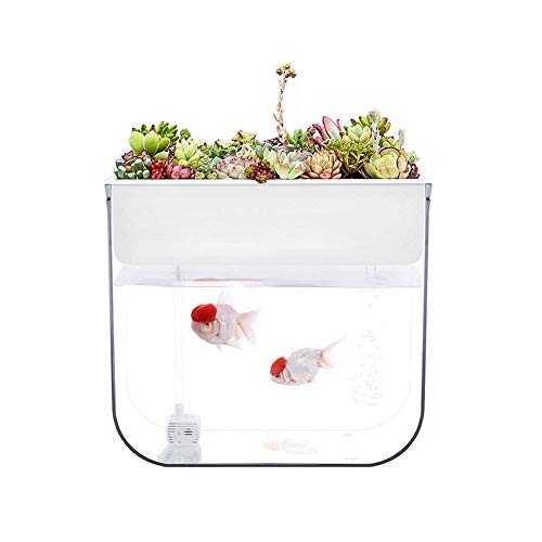 Geometry Mini Lazy Fish Tank Charging Selbstreinigendes Aquarium Home Office Aquarium Aquarium Dekoration von DAPERCI