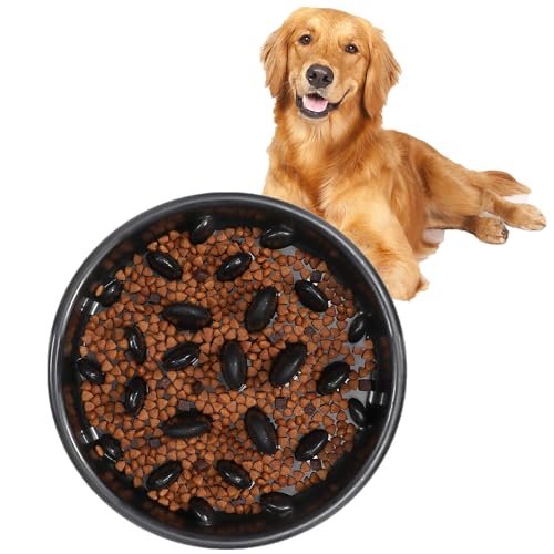 DARENYI Anti Schling Napf Hund Großer Anti Schling Napf In Heimtierbedarf Rutschfester Slow Feeder Dog Bowl Blähstopp Hund Katzenfutter Wassernapf DARENYI Anti Schling Napf Hund Großer Anti Schling Napf In Heimtierbedarf Rutschfester Slow Feeder Dog Bowl Blähstopp Hund Katzenfutter Wassernapf von DARENYI