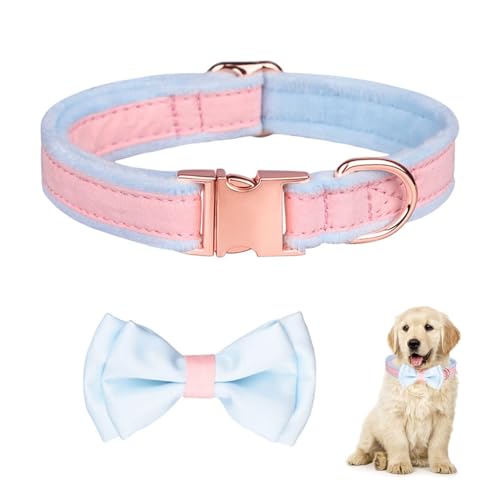 Hundehalsband,Fliege Hund,Katzenhalsband,mit Abnehmbaren Fliege,Gepolstert,Echtes Leder,Strapazierfähig, Bequeme verstellbares,Kann Zeichen Gravieren,(26-42 cm),für kleine mittelgroße Hunde Hundehalsband,Fliege Hund,Katzenhalsband,mit Abnehmbaren Fliege,Gepolstert,Echtes Leder,Strapazierfähig, Bequeme verstellbares,Kann Zeichen Gravieren,(26-42 cm),für kleine mittelgroße Hunde von DARENYI