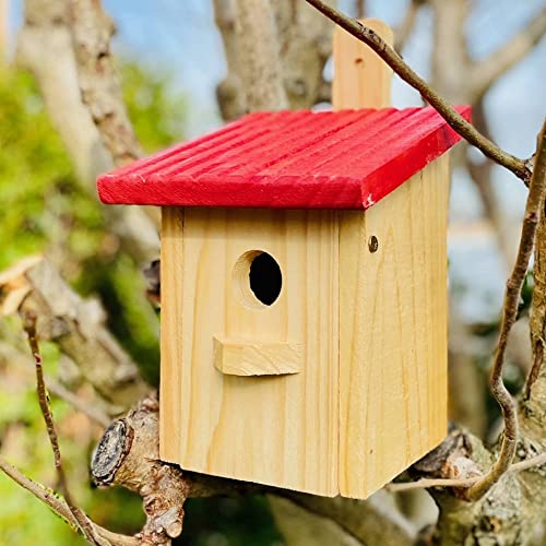 DARLUX Flachdach Nistkasten Vogelhaus Brutstätte für kleine Singvögel Holz Natur/Rot von DARLUX