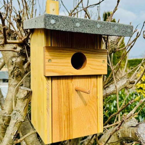 DARLUX Großer Nistkasten für Stare - Massivholz Starenkasten, geräumiger Nistkasten Ideal für Wildvögel Ø 50 mm Artgerecht nach NABU Empfehlungen gebaut von DARLUX