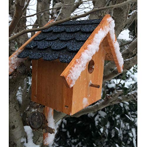DARLUX Holz Nistkasten für draußen, Nisthaus Brutstätte für kleine Singvögel Braun und verschiedenen Bitum Farben (Blau - Braun) von DARLUX