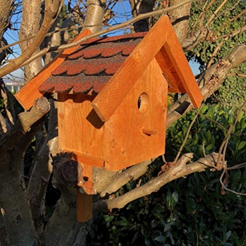 DARLUX Holz Nistkasten für draußen, Nisthaus Brutstätte für kleine Singvögel Braun und verschiedenen Bitum Farben (Rot - Braun) von DARLUX