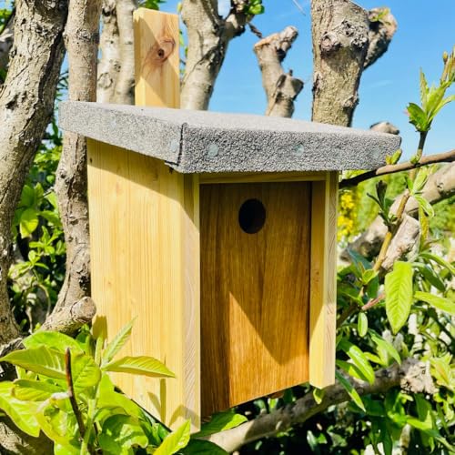 DARLUX Nistkasten für Kohlmeise Ø 32 mm I nach NABU gefertigt aus verschraubtem Massiv-Holz I wetterfest I Produziert in Sachsen I 2,6kg DARLUX Nistkasten für Kohlmeise Ø 32 mm I nach NABU gefertigt aus verschraubtem Massiv-Holz I wetterfest I Produziert in Sachsen I 2,6kg von DARLUX