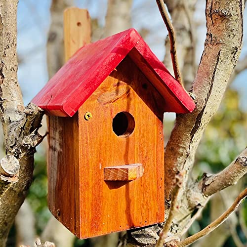DARLUX Spitzdach Nistkasten Brutstätte für kleine Singvögel Holz Braun/Rot von DARLUX