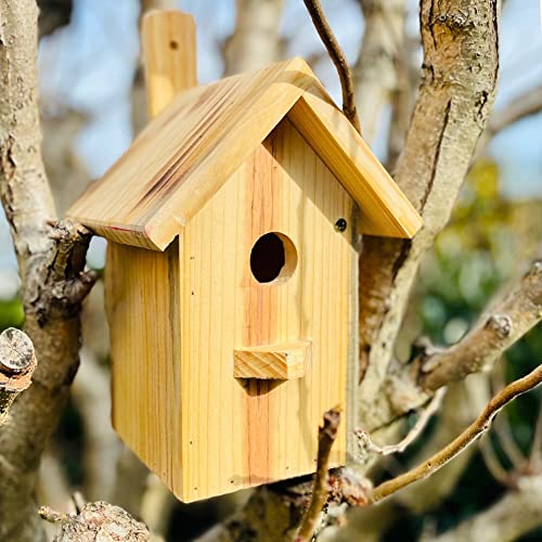 DARLUX Spitzdach Nistkasten Brutstätte für kleine Singvögel draußen Holz Naturbelassen von DARLUX
