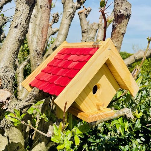 DARLUX Spitzdach handgefertigter Nistkasten Bruthöhle für kleine Singvögel Kohlmeise I Kleiber I Holz Natur I Brutstätte für draußen I Wetterfest I Massivholz DARLUX Spitzdach handgefertigter Nistkasten Bruthöhle für kleine Singvögel Kohlmeise I Kleiber I Holz Natur I Brutstätte für draußen I Wetterfest I Massivholz von DARLUX