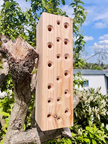 DARLUX Wildbienen - Insektenhotel Nisthilfe Hartholz Stamm Massivholz Naturbelassen 300 mm Insektenstamm Wildbienenhotel von DARLUX