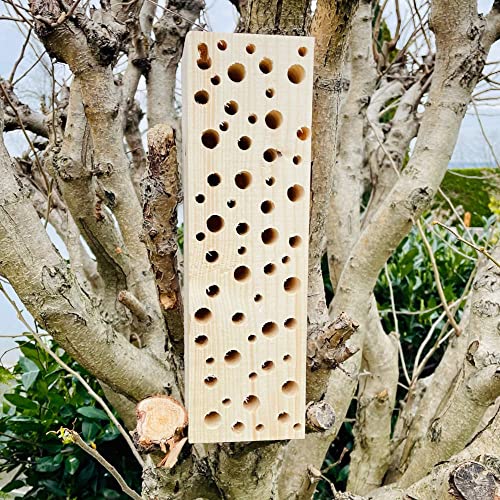 DARLUX Wildbienen - Insektenhotel Nisthilfe Holz Stamm Naturbelassen 30-90 cm Bienenhotel Stamm Insektenhotel Wildbienen Massivholz Wildbienenhotel (30 cm) von DARLUX