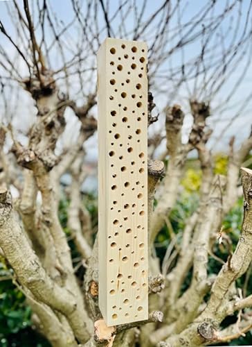 DARLUX Wildbienen - Insektenhotel Nisthilfe Holz Stamm Naturbelassen 30-90 cm Bienenhotel Stamm Insektenhotel Wildbienen Massivholz Wildbienenhotel (60 cm) von DARLUX