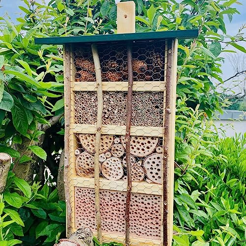 DARLUX handgefertigtes, hochwertiges Holz Insektenhotel XL Wildbienen-Nisthilfe Insektenhaus Natur/Grün. Produziert von Werkstätten für behinderte Menschen DARLUX handgefertigtes, hochwertiges Holz Insektenhotel XL Wildbienen-Nisthilfe Insektenhaus Natur/Grün. Produziert von Werkstätten für behinderte Menschen von DARLUX