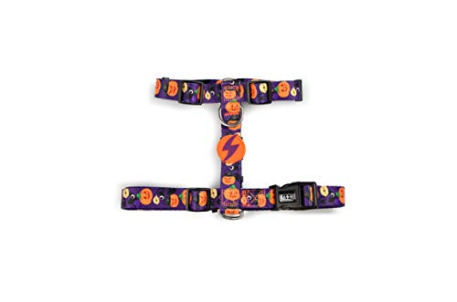DASHI Pumpkin Back Harness Medium DASHI Pumpkin Back Harness Medium von DASHI