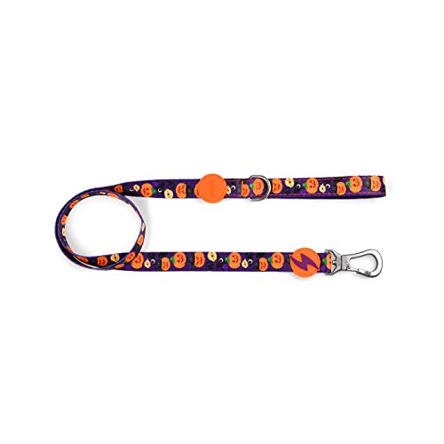 Dashi Pumpkin-Leine (M) von DASHI