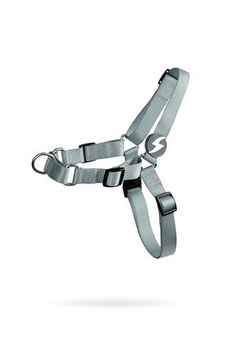 EEXDMX Dashi Solid Grey Front Harness (L) von DASHI
