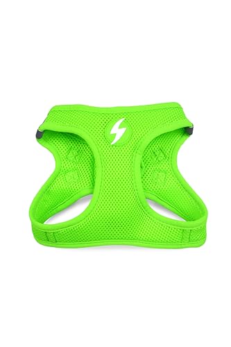 EEXDMX Verdunkelungsvorhang (2XS) von DASHI