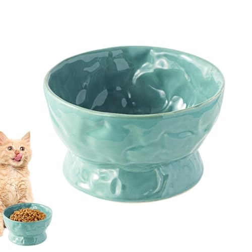 DASHIELL Gekippter Katzenwassernapf, erhöhter Katzenfutternapf - Katzenfutter- und Wassernäpfe aus Keramik,Schnurrbartfreundlicher Futternapf für Katzen mit flachem Gesicht und Wohnungskatzen von DASHIELL