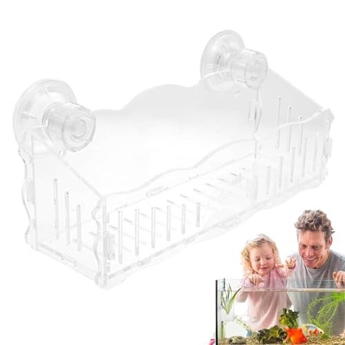 DASHIELL Saugnapf-Pflanzenhalter, Aquarium-Saugnäpfe - Acryl-Becherhalter für Wasserpflanzen | Transparenter Blumentopf für Aquarien mit Saugnapf, Aquarium-Aquarium- -Dekorationen von DASHIELL