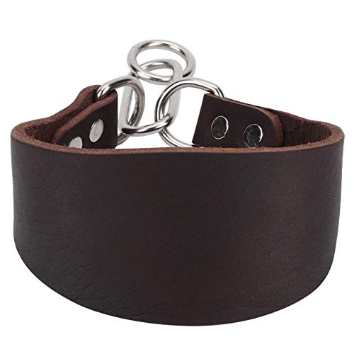 DAUERHAFT Whippet Halsband, Dicke 4 mm, für kleine Hunde, Windhunde, Whippet usw. Extra weiches Martingale Hundehalsband DAUERHAFT Whippet Halsband, Dicke 4 mm, für kleine Hunde, Windhunde, Whippet usw. Extra weiches Martingale Hundehalsband von DAUERHAFT