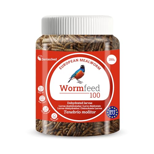 Wormfeed 100 - Premium Mehlwurm 250 g - Tenebrio-Larven für Vögel, Reptilien, Nagetiere, Fische - Reich an Proteinen mit Omega 3 und 6 - Aufzucht in Europa - Davianfeed von DAVIANFEED