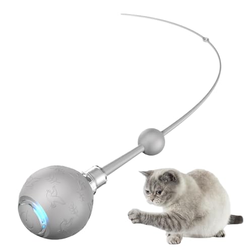 DAWCBVJQ Automatischer Katzenball | 3 Modi Katzenrollball Spielzeug Mit Bewegungsstimulation - Elektrisches Rollspiel Mit Schwanz Für Geistige Anregung Jagdtraining Aufladbar DAWCBVJQ Automatischer Katzenball | 3 Modi Katzenrollball Spielzeug Mit Bewegungsstimulation - Elektrisches Rollspiel Mit Schwanz Für Geistige Anregung Jagdtraining Aufladbar von DAWCBVJQ