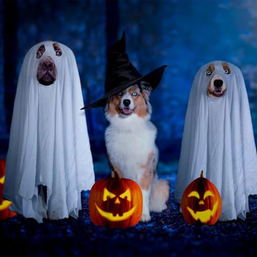 DAWCBVJQ Hundekostüme Für Halloween - Geisterkostüm Für Hunde Und Katzen | Haustier Zubehör Kleidung Für Verkleidung Spaziergang Feste Foto Requisiten von DAWCBVJQ