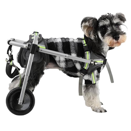 DAWOKU Hunderollstuhl, Hunderollstuhl für Hinterbeine, leicht und verstellbar, für Hunde, Haustier-/Hunde-Rollstühle mit behinderten Hinterbeinen, geringes Gewicht, Größe: XS von DAWOKU