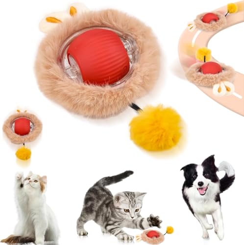 DAWRIS Katzenball Elektrisch, Interaktives Katzenball Spielzeug, Chewie Rolling Ball, Interaktives Hunde Ball Spielzeug Mit USB Aufladbar, DREI Arbeitsmodi, 360° Rolling Smart Ball für Katzen Hunde DAWRIS Katzenball Elektrisch, Interaktives Katzenball Spielzeug, Chewie Rolling Ball, Interaktives Hunde Ball Spielzeug Mit USB Aufladbar, DREI Arbeitsmodi, 360° Rolling Smart Ball für Katzen Hunde von DAWRIS