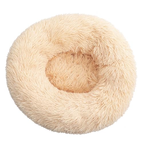 DAYKETNE Donut-Hundebett, Groß, Waschbares Katzen-/Kätzchenbett, D: 40–120 cm, Einfarbiger, Flauschiger Plüsch-Hundekorb mit Rutschfester Unterseite,Apricot-60CM DAYKETNE Donut-Hundebett, Groß, Waschbares Katzen-/Kätzchenbett, D: 40–120 cm, Einfarbiger, Flauschiger Plüsch-Hundekorb mit Rutschfester Unterseite,Apricot-60CM von DAYKETNE