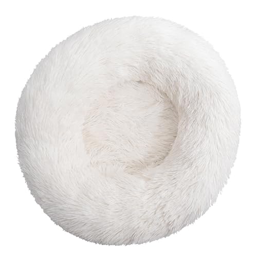DAYKETNE Donut-Hundebett, Groß, Waschbares Katzen-/Kätzchenbett, D: 40–120 cm, Einfarbiger, Flauschiger Plüsch-Hundekorb mit Rutschfester Unterseite,White-40CM DAYKETNE Donut-Hundebett, Groß, Waschbares Katzen-/Kätzchenbett, D: 40–120 cm, Einfarbiger, Flauschiger Plüsch-Hundekorb mit Rutschfester Unterseite,White-40CM von DAYKETNE