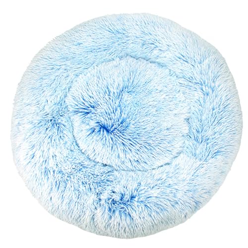 DAYKETNE Donut-Hundebett – Weiches, Flauschiges Katzenbett mit Farbverlauf, Waschbares, Beruhigendes, Rundes Haustierkissen, Plüsch-Hundekorb für Kleine/Mittelgroße/Große Hunde,Blue-80CM DAYKETNE Donut-Hundebett – Weiches, Flauschiges Katzenbett mit Farbverlauf, Waschbares, Beruhigendes, Rundes Haustierkissen, Plüsch-Hundekorb für Kleine/Mittelgroße/Große Hunde,Blue-80CM von DAYKETNE