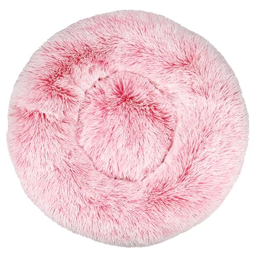 DAYKETNE Donut-Hundebett – Weiches, Flauschiges Katzenbett mit Farbverlauf, Waschbares, Beruhigendes, Rundes Haustierkissen, Plüsch-Hundekorb für Kleine/Mittelgroße/Große Hunde,PinkA-70CM DAYKETNE Donut-Hundebett – Weiches, Flauschiges Katzenbett mit Farbverlauf, Waschbares, Beruhigendes, Rundes Haustierkissen, Plüsch-Hundekorb für Kleine/Mittelgroße/Große Hunde,PinkA-70CM von DAYKETNE