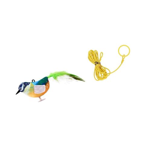 DAYnagh Indoor Cats Entertainment Quietschendes Vogelspielzeug mit natürlichem Zwitschergeräusch Katzenminze für Langeweile im Innenbereich Katzen jagen Spielzeug Quietschender Vogel DAYnagh Indoor Cats Entertainment Quietschendes Vogelspielzeug mit natürlichem Zwitschergeräusch Katzenminze für Langeweile im Innenbereich Katzen jagen Spielzeug Quietschender Vogel von DAYnagh