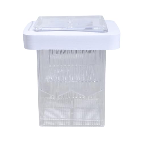 FishTank Brutkasten für Aquarium, kleine Zuchtbox, transparent, Isolation, Schlüpfbox, doppellagig, verstellbare Trennwand, Fischzuchttanks FishTank Brutkasten für Aquarium, kleine Zuchtbox, transparent, Isolation, Schlüpfbox, doppellagig, verstellbare Trennwand, Fischzuchttanks von DAYnagh
