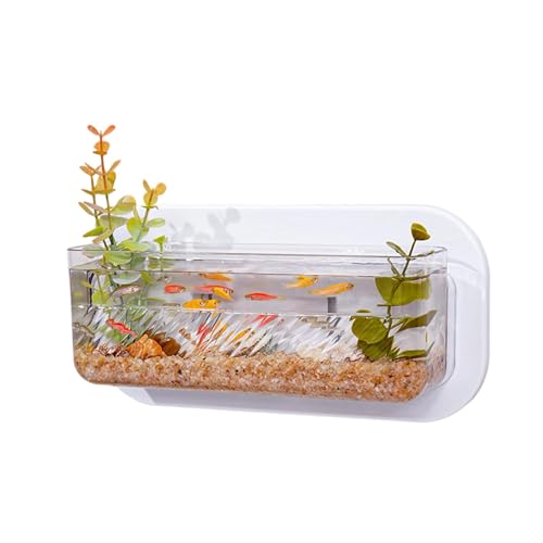 Haustierfreundliche Wandhänge Aquarien Mit Hydroponischem Pflanzengartenbehälter Für Hydroponische Pflanzen Innenbereich Haustierfreundliche Wandhänge Aquarien Mit Hydroponischem Pflanzengartenbehälter Für Hydroponische Pflanzen Innenbereich von DAYnagh
