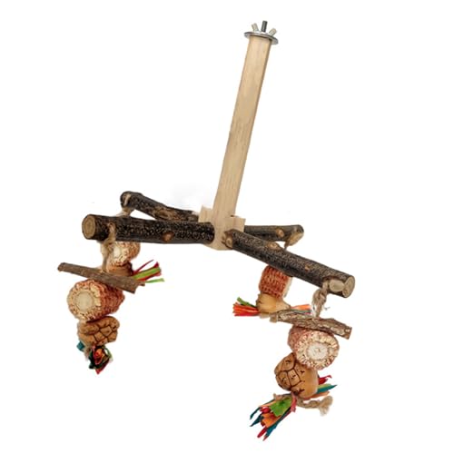 Vogel-Sitzstange aus Holz, drehbar, für Papageien, Sittiche, Schleifkratzer für kleine Papageien, Vogelschleifspielzeug Vogel-Sitzstange aus Holz, drehbar, für Papageien, Sittiche, Schleifkratzer für kleine Papageien, Vogelschleifspielzeug von DAYnagh