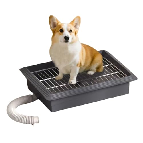 Dog Toilet mit Anti-Spritzkante, Dog Potty Indoor & Outdoor mit wasserdichtem TPU Boden, Leicht zu Reinigen für Hunde & Welpen von DBHDG