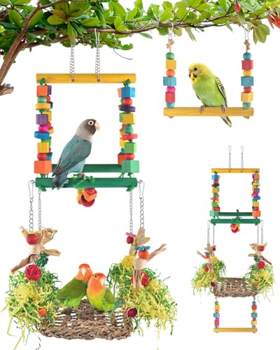 DBNESS Vogelspielzeug für Papageien, abnehmbare Conure Futtergrasschaukelmatte, Käfig-Hängematte, Sitzstange, bunte Holzblöcke, zum Aufhängen, Kauspielzeug für kleine bis mittlere Sittiche, DBNESS Vogelspielzeug für Papageien, abnehmbare Conure Futtergrasschaukelmatte, Käfig-Hängematte, Sitzstange, bunte Holzblöcke, zum Aufhängen, Kauspielzeug für kleine bis mittlere Sittiche, von DBNESS