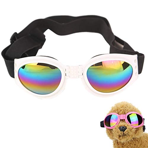 DC CLOUD Sonnenschutz Hund Hundesonnenbrille UV-Brille für Hund Gläser für Katzen Faltbare Hundesonnenbrille Hundebrille Augenschutz wasserdichte Hundebrille White von DC CLOUD