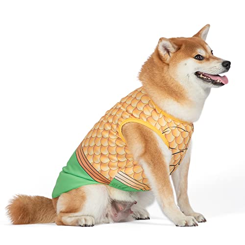 DC Superheld Aquaman Halloween Kostüm für Hunde – klein | DC Superheld Halloween Kostüme für Hunde, lustige Hundekostüme | offiziell Lizenziertes DC Hund Halloween Kostüm von DC Comics
