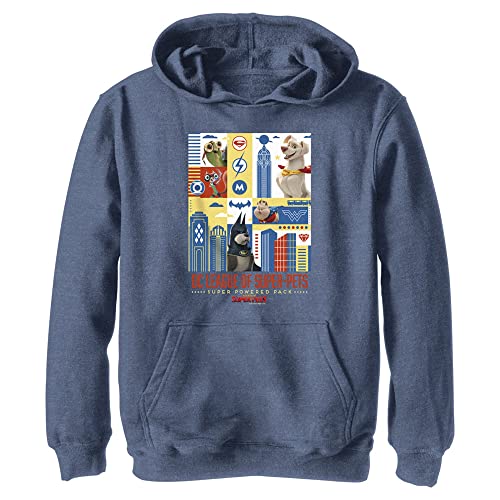 Warner Brothers DC Super Pets Pets Cover Youth Pullover Hoodie Navy Blue Heather, Marineblau meliert, Small von DC Comics