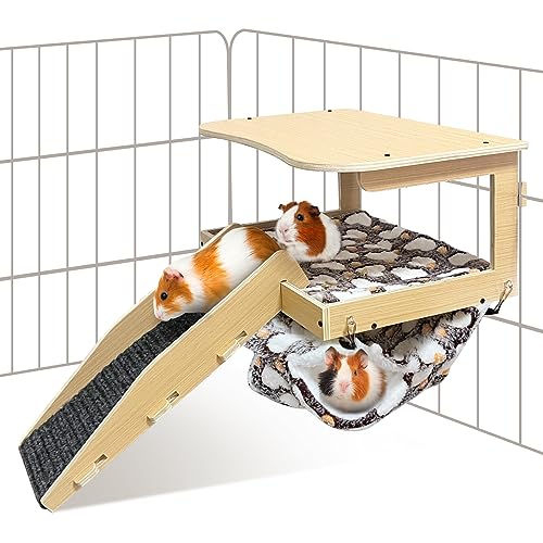 DCIAER Meerschweinchenversteck aus Naturholz, abnehmbares Meerschweinchenbett, Kleintier-Lebensraum mit Hängematte, Treppe, Kissen, geeignet für kleine Tiere zum Verstecken, Ausruhen, Spielen DCIAER Meerschweinchenversteck aus Naturholz, abnehmbares Meerschweinchenbett, Kleintier-Lebensraum mit Hängematte, Treppe, Kissen, geeignet für kleine Tiere zum Verstecken, Ausruhen, Spielen von DCIAER