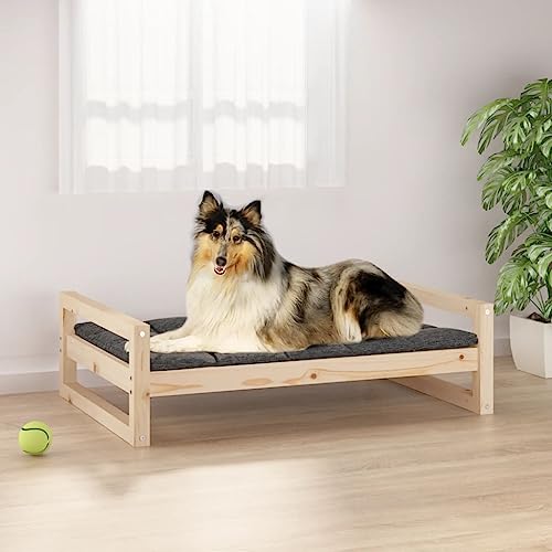 Animals & Pet Supplies Hundebett 95,5x65,5x28 cm Kiefer massiv von DCRAF