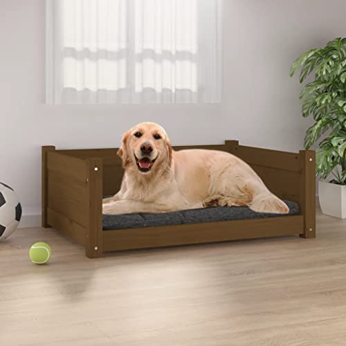 Animals & Pet Supplies Hundebett Honigbraun 75,5x55,5x28 cm Kiefer massiv von DCRAF