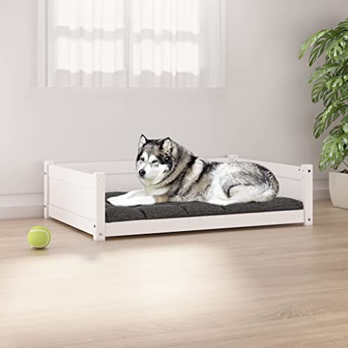 Animals & Pet Supplies Hundebett Weiß 105,5x75,5x28 cm Kiefer massiv von DCRAF