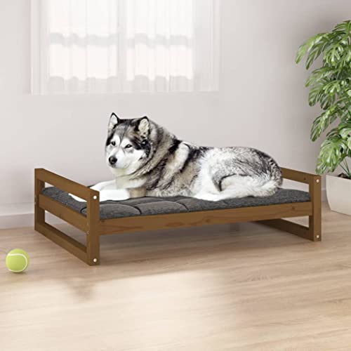 DCRAF Home Products-Hundebett Hundebett Honigbraun 105,5x75,5x28 cm Kiefer massiv von DCRAF