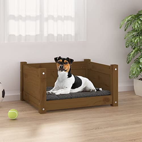 DCRAF Home Products-Hundebett Hundebett Honigbraun 55,5x45,5x28 cm Kiefer massiv von DCRAF