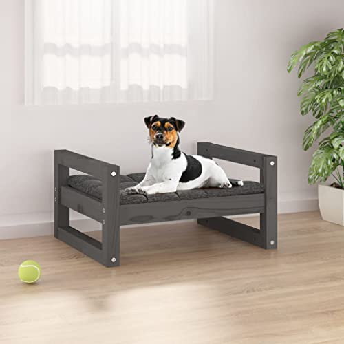 DCRAF Home Products-Hundebett grau 55,5x45,5x28 cm Kiefer massiv von DCRAF