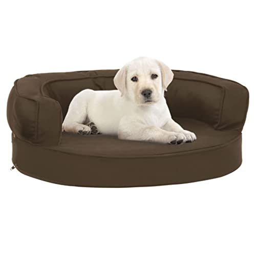 Möbelset - Ergonomische Hundematratze 60x42cm Leinenoptik braun von DCRAF